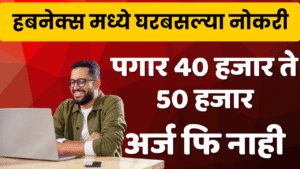 Hubnex Labs Work From Home