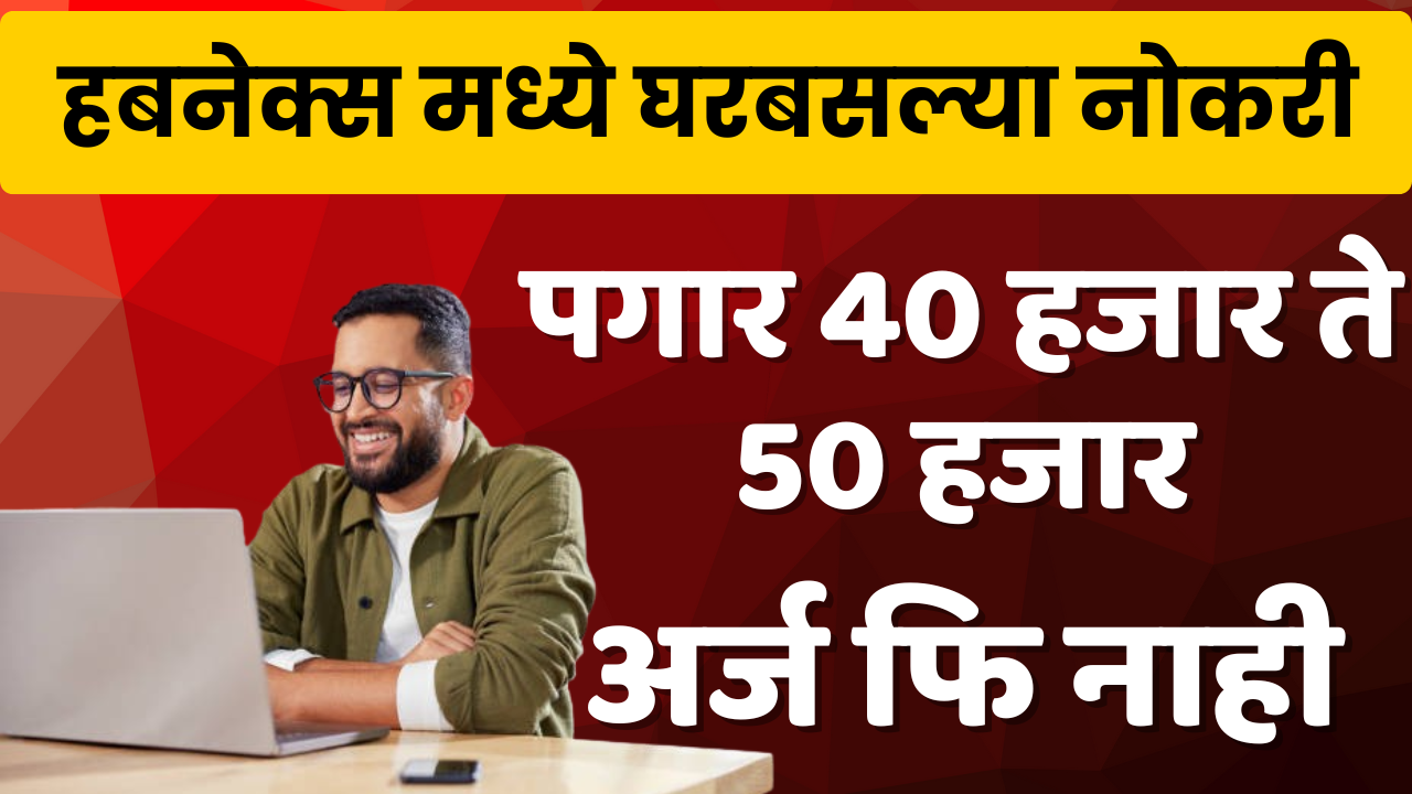 Hubnex Labs Work From Home